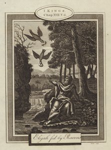 Eliasz karmiony przez Kruki, I Królowie, rozdział XVII, werset 6 (rycina) autorstwa English School