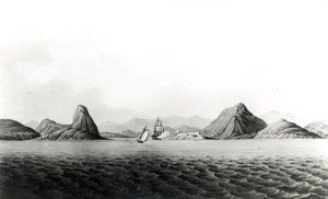 Wejście do portu w Rio de Janeiro (druk bw) autorstwa English School