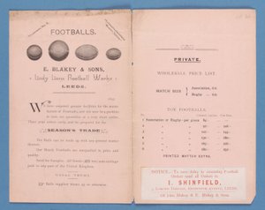 Katalog urządzeń wyprodukowany przez E. Blakey & Sons, 1895 autorstwa English School