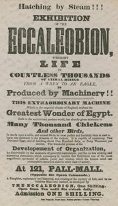 Wystawa Eccaleobion autorstwa English School