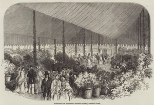 Wystawa Królewskiego Towarzystwa Botanicznego, Regent