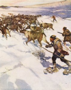 Faktor John McLean łapiący stado karibu na Labradorze dla Hudson