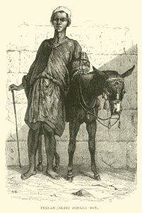 Fellah, Arab; chłopiec osioł autorstwa English School