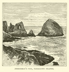 Zatoka Rybaków, Wyspy Farallon autorstwa English School