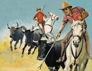 Gardianie z Camargue autorstwa English School