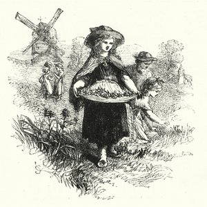 Zbieranie krowich poślizgów (grawerowanie) autorstwa English School