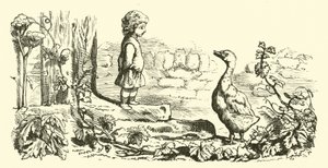 Gänschen, Gänschen Gänserich