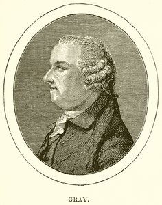 Szary autorstwa English School