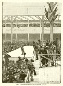 Wielka Demonstracja Unionistów w Belfaście, 1890 autorstwa English School