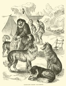 Grenlandia Eskimo psie zaprzęgi autorstwa English School