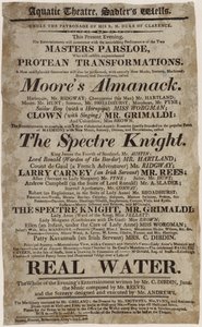 Grimaldi w Teatrze Wodnym autorstwa English School