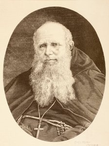 Guglielmo Massaia (litho) autorstwa English School