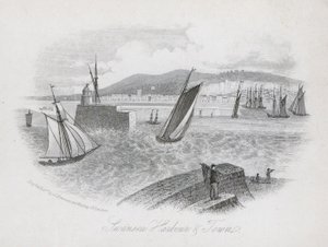 Port i miasto, Swansea, Walia (rycina) autorstwa English School
