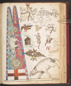 Harley 4632, f.242, sztandar Ryszarda III w Bosworth, plus Yorkist sunburst (wellum) autorstwa English School
