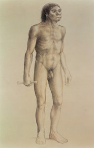 Homo erectus (ołówek na papierze)