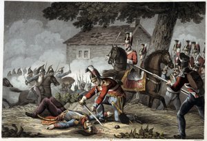 Gwardia konna na polu bitwy pod Waterloo w "Historycznych, wojskowych i morskich anegdotach i incydentach, które dotarły do armii brytyjskich i ich sojuszników, kończących się pod Waterloo" Edwarda Orme