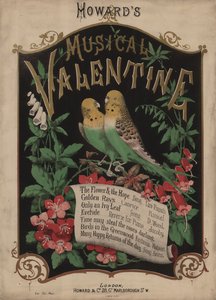 Howards Musical Valentine (kolorowa litografia) autorstwa English School