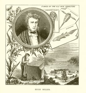 Hugh Miller autorstwa English School