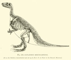 Iguanodon Bernissartensis autorstwa English School
