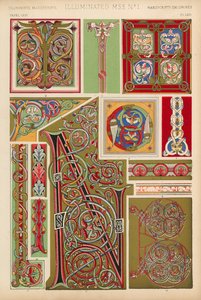 Podświetlany MSS autorstwa English School