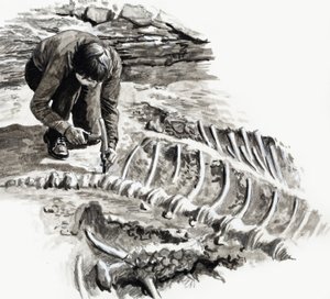 W czasach dinozaurów: Bitwa gigantów autorstwa English School