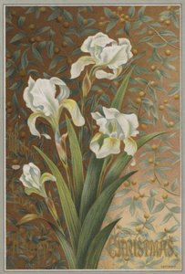 Iris (chromolitho) autorstwa English School