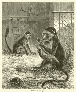 Jack i jego pierwsze cygaro (grawerunek) autorstwa English School