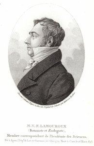 Jean Vincent Felix Lamouroux autorstwa English School