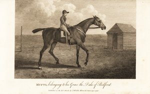 Dżokej na słynnym rasowym wyścigowcu Mufti, należącym do jego Grace the Prince of Bedford autorstwa English School