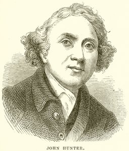 John Hunter autorstwa English School