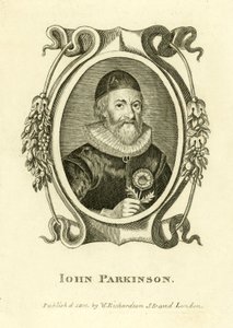 Johna Parkinsona autorstwa English School