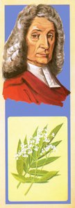 John Ray autorstwa English School