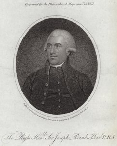 Joseph Banks autorstwa English School