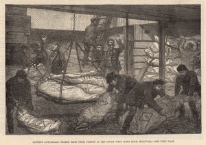 Lądowanie australijskiego mrożonego mięsa w South West India Dock, Millwall autorstwa English School