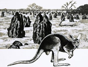Duże kopce termitów w pobliżu Darwin w Australii, a na pierwszym planie kangur autorstwa English School