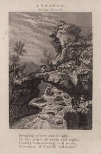 Liban, Pieśń Salomona IV, wer. 15 (rycina) autorstwa English School