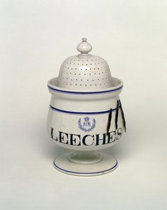 Słoik na pijawkę (ceramiczny) autorstwa English School