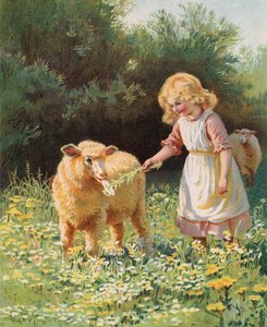 Mała dziewczynka karmi owce kwiatem na łące (chromolitho) autorstwa English School