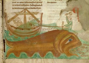 MS.254.f33r Wieloryb z marynarzem wbijającym mu kołek w głowę, detal z angielskiego bestiariusza, początek XIII w. (welin) autorstwa English School