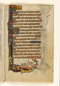 MS 1-2005, k.l. 22r: Doktor małpolud i jego pacjent-niedźwiedź, marginalna dekoracja z psałterza Macclesfielda, Use of Sarum, East Anglia, c.1330 autorstwa English School