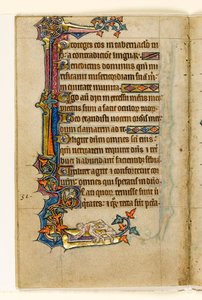 MS 1-2005, k.l. 45v: Małpa zaglądająca w Mans Bottom, marginalna dekoracja z Psałterza Macclesfielda, Use of Sarum, East Anglia, c.1330 autorstwa English School