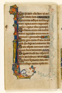 MS 1-2005, k.l. 47v: Groteskowa, marginalna dekoracja z Psałterza Macclesfielda, Use of Sarum, East Anglia, c.1330 autorstwa English School