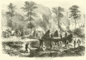 Wyrabianie węgla drzewnego na proch strzelniczy, październik 1870 autorstwa English School