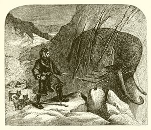 Mamut w lodzie
