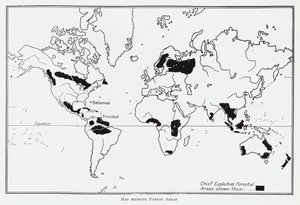 Mapa przedstawiająca obszary leśne (lito) autorstwa English School
