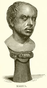 Mariusz autorstwa English School