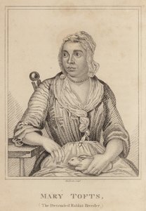 Mary Tofts, udawany hodowca królików autorstwa English School