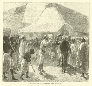 Spotkanie Livingstone