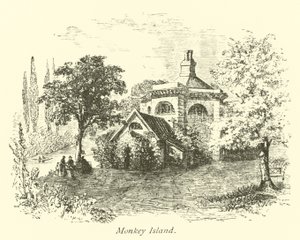 Małpia wyspa autorstwa English School