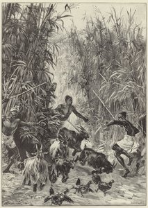 Ekspedycja humanitarna pana H.M. Stanleya Emina Paszy autorstwa English School